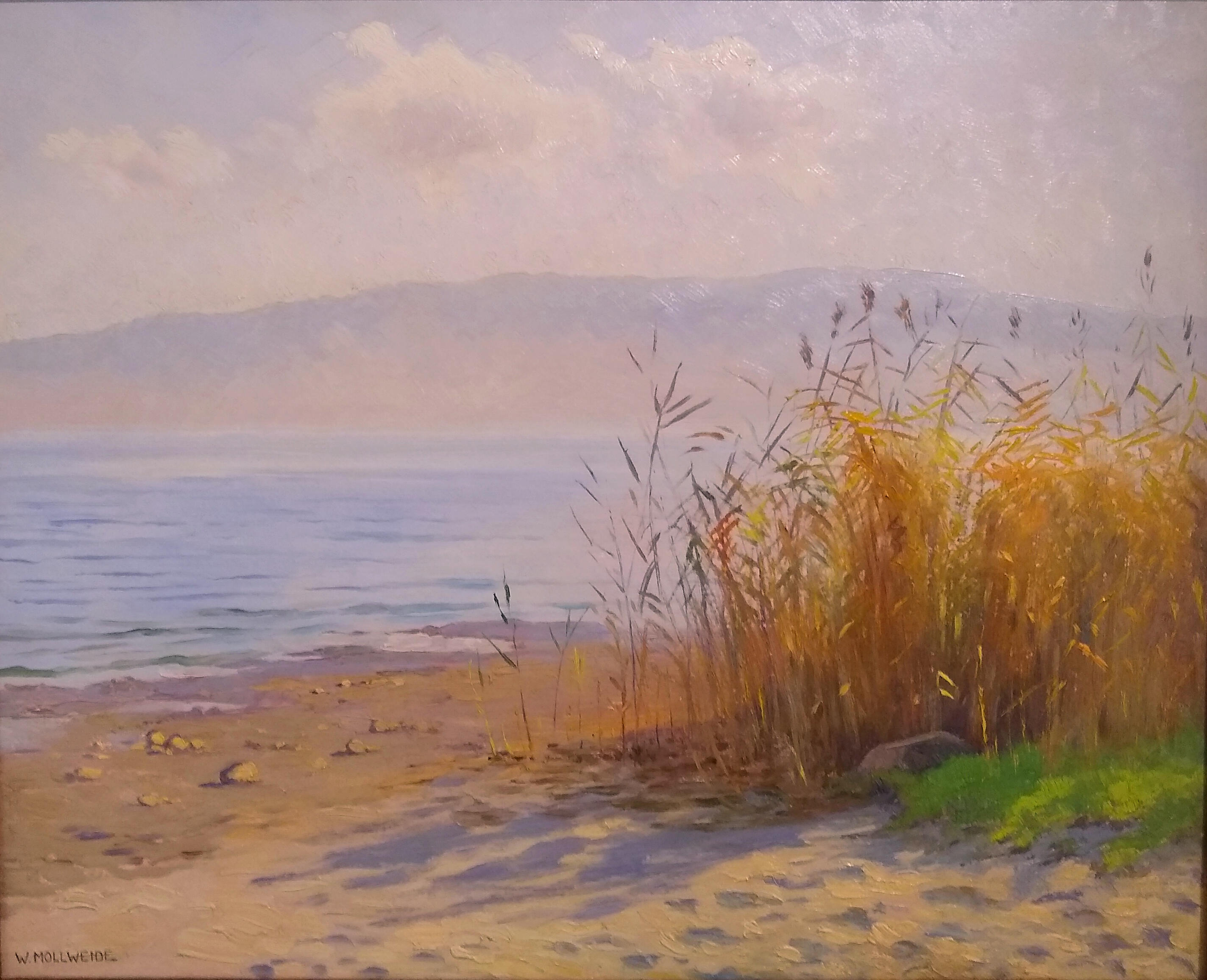  Werner Mollweide, Blick auf den See 