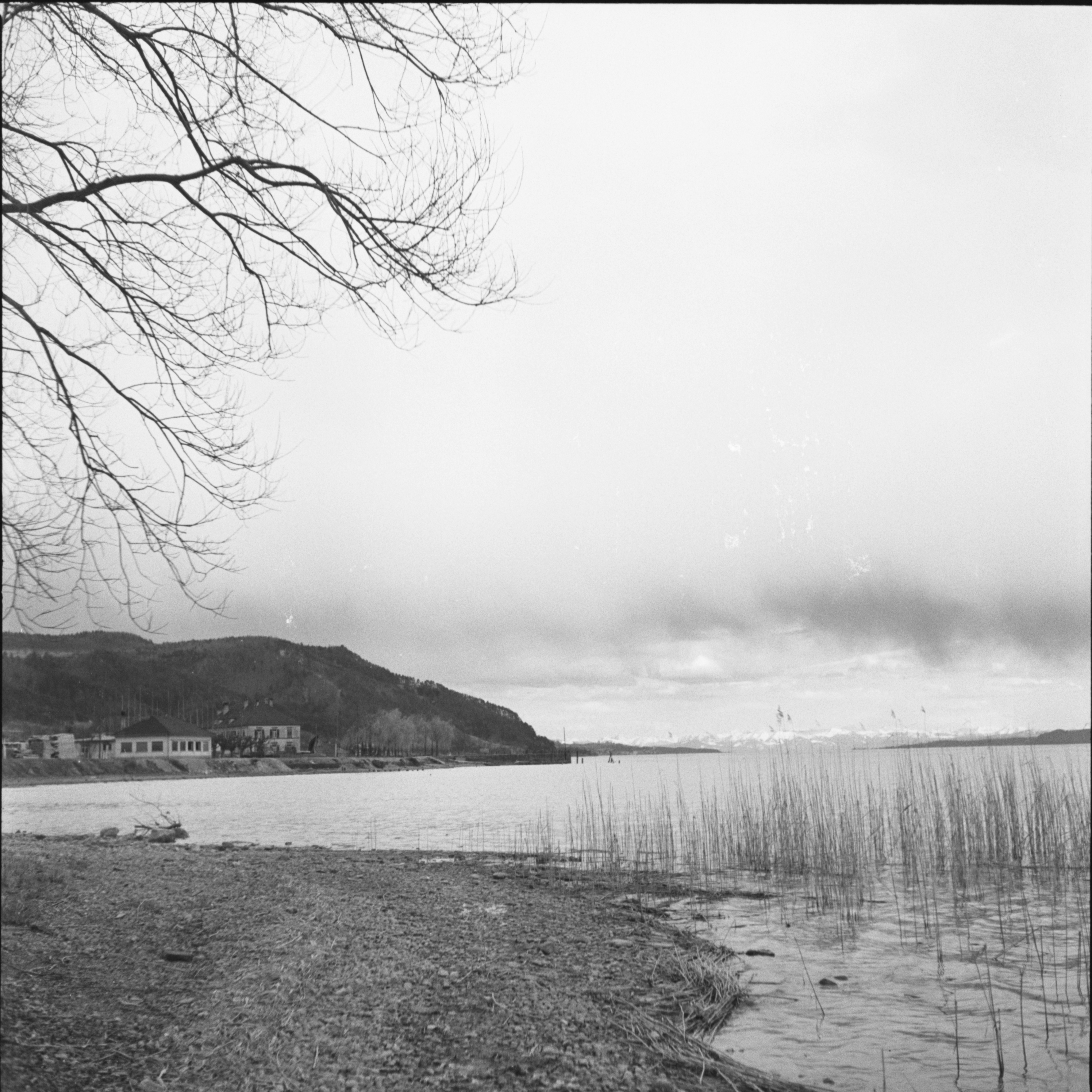  Gustav Hotz, Blick auf den See von Ludwigshafen, Stadtarchiv Stockach, Bildarchiv Foto Hotz, KBG_0964q 
