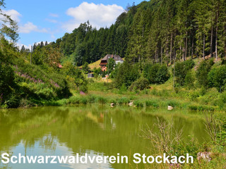 Wanderung mit dem Schwarzwaldverein: Felsentäle