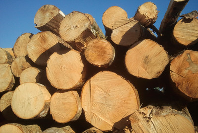 Brennholzverkauf