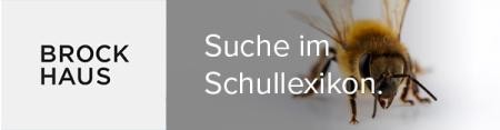 Bild einer Biene