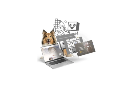 zeigt Gestaltung von Websites