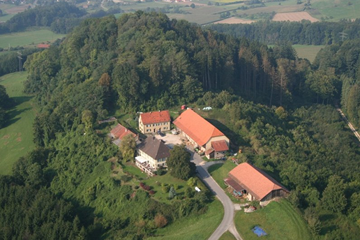 Ruinen des Schlosses der Grafen von Nellenburg