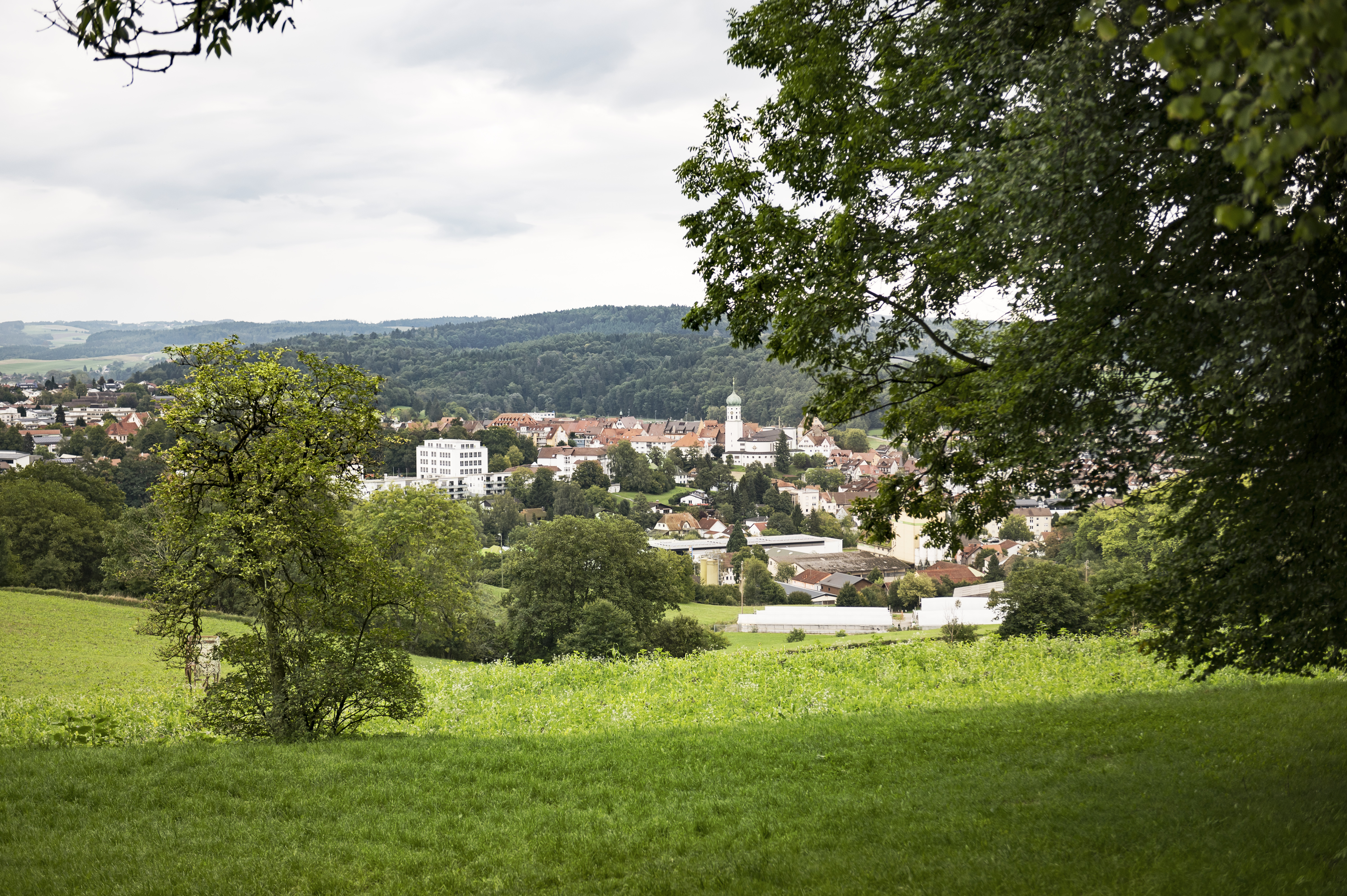 Blick auf Stockach
