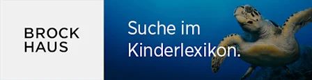 Bild von Schildkröte